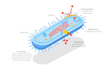 3D Isometric Flat  Conceptual Illustration of Antimicrobal Resistance, Medical Educational Diagram