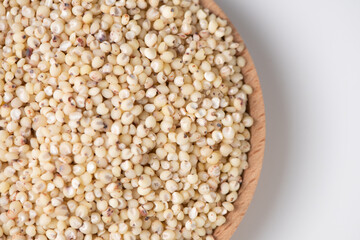 Sorghum seeds in plate on white background. Whole seeds of Sorghum Moench