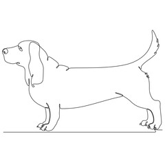 continuous line art dog vector illustration