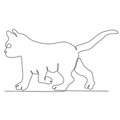 cat continuous line art
