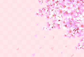 桜の和風フレーム背景　和柄　市松模様　桜吹雪　飾り枠　素材　お花見　入学　卒業　入園　卒園　入社　ひなまつり　ひな祭り　イメージ