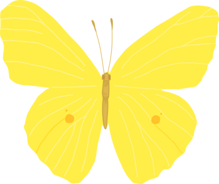 Spring Nature Illustration