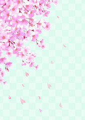 桜の和風フレーム背景　和柄　市松模様　桜吹雪　飾り枠　素材　お花見　入学　卒業　入園　卒園　入社　ひなまつり　ひな祭り　イメージ　縦長