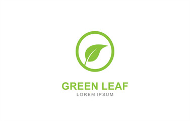 O Letter Leaf logo template for symbol of business identity