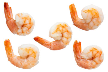 Set of cooked white shrimp peeled and deveined Isolated Transparent Background