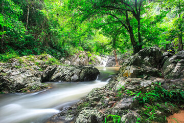 Fototapeta premium waterfall in the forest
