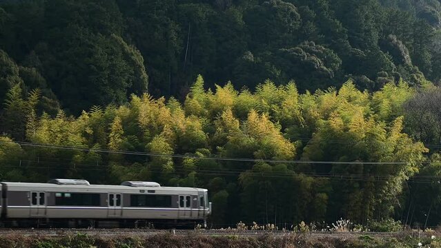 冬の陽を浴びて走る223系普通列車 （東海道本線 安土 - 能登川, 2023年12月）