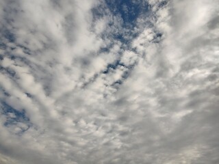 東京のそら(24.1.18)