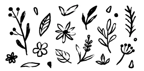 Foto op Plexiglas Flower doodle hand drawn line stroke. Sketch hand drawn spring floral plant, nature graphic leaf, scribble grunge brush texture. Vector simple flower, leaf brush stroke. Vector illustration © Polina Tomtosova