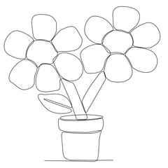 Abstract cosmos line drawing on white background. flower line drawing. Continuous line