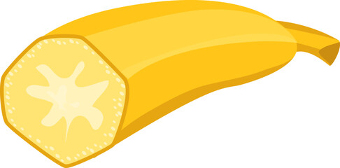 Half sliced fresh yellow banana. Ripe banana fruit cut on white, healthy eating. Tropical banana vector illustration