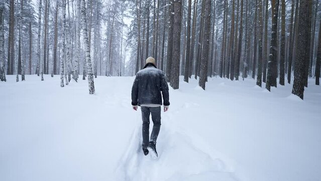 Stylish young man walking in winter forest. Media. Rear view of man walking in winter forest. Walking along path with falling snow in winter forest