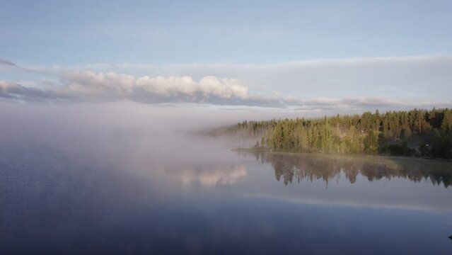 Morning fog over tranquil lake reflecting forest in peaceful nature DRONE PUSH