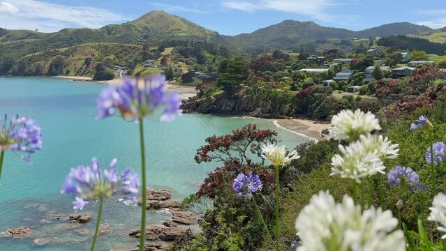 Calm ocean beach and flowers in summer. Waitete Bay, Coromandel Peninsula, New Zealand.