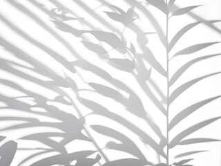 Fototapeta na wymiar white-background-plant-shaped-shadow-shadow-shapeon-the-side