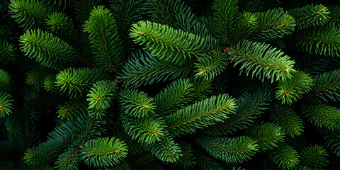 fern leaves, Green Prickly Branches of a FurTree or Pine, The green branches of nobilis are close green floral background, Christmas background of wild fir tree branches, Generative AI
