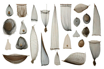 sea shells collection isolated on a Transparent background. Generative AI - obrazy, fototapety, plakaty