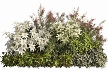 Large bush with shrubs, lily flowers, grapevine, enduring perennial, high-quality visualization cutout plant. Generative AI