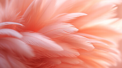 Fototapeta premium Abstract feather closeup, peach fuzz, macro, front view, background close up texture