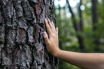 Close up of a hand on a tree
