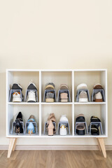 Shoes contemporary storage at home cupboard with shelves cozy room with potted plant interior