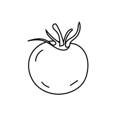 Doodle illustration of tomato in black and white, black line, isolated on white. Vegetable.