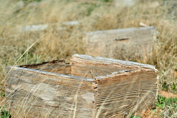 Texture of old wood box in a grassy field