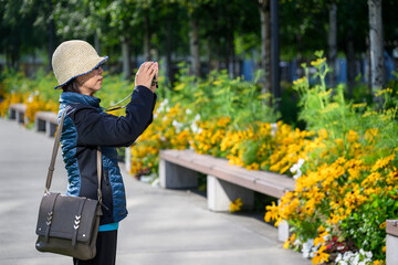 Woman taking photos of beautiful flowers using smartphone. Anchorage. Alaska.
