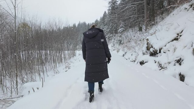 Woman Walking In The Snow Through The Forest During Snowfall In Winter. - rear shot