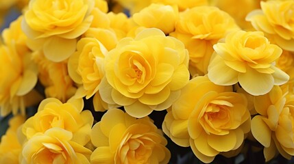 yellow flowers background generated by AI tool