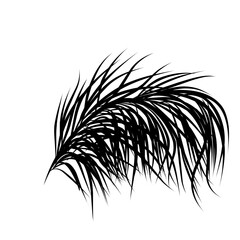 coconut leaf silhouette