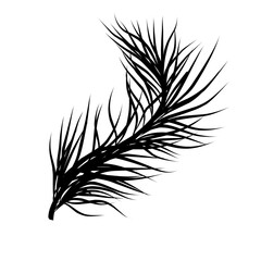 Obraz premium coconut leaf silhouette