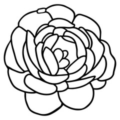 Hand drawn simple flower illustration