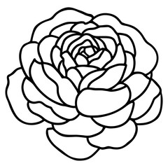 Hand drawn simple flower illustration