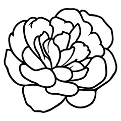 Hand drawn simple flower illustration