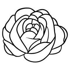 Hand drawn simple flower illustration
