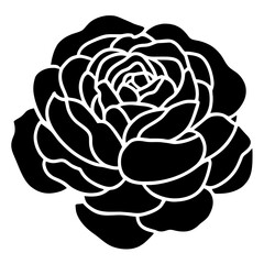 Hand drawn simple flower illustration