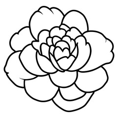Hand drawn simple flower illustration