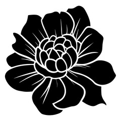 Hand drawn simple flower illustration