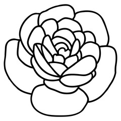 Hand drawn simple flower illustration