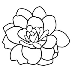 Hand drawn simple flower illustration