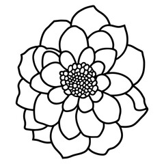 Hand drawn simple flower illustration