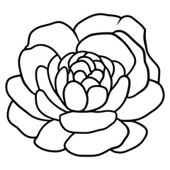 Hand drawn simple flower illustration