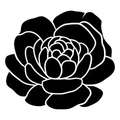 Hand drawn simple flower illustration