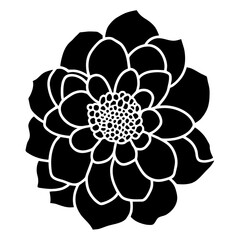 Hand drawn simple flower illustration