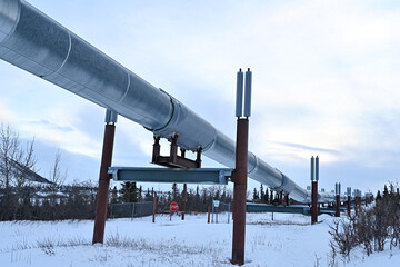 The Trans Alaska Pipeline System transports crude oil from Prudhoe Bay to Valdez, 800 miles through...