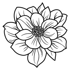 Hand drawn simple flower illustration
