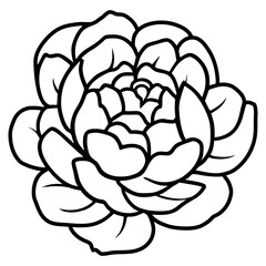 Hand drawn simple flower illustration