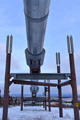 The Trans Alaska Pipeline System transports crude oil from Prudhoe Bay to Valdez, 800 miles through...