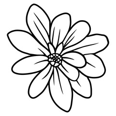 Hand drawn simple flower illustration